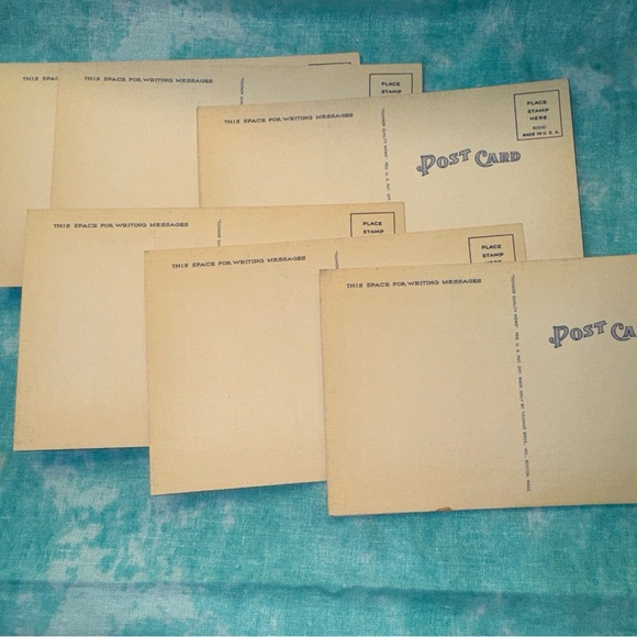 485-AMT Ten (10) New 1940’s Postcard Everglades National Park Florida - Picture 4 of 5